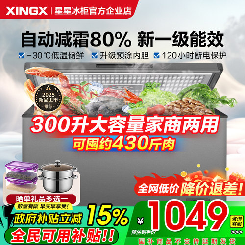 全网热销爆款300升大冰柜