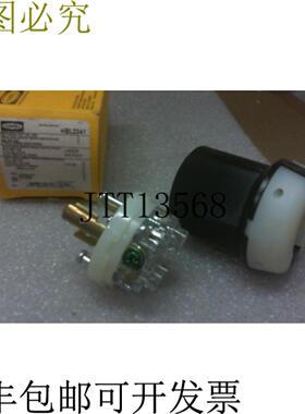 供应Hubbell HBL2341 锁插头 -
