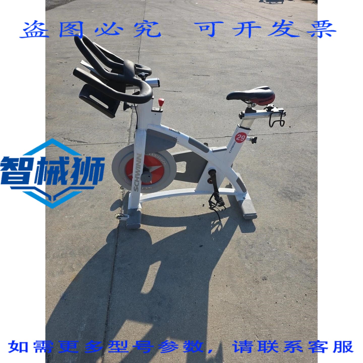 原装供应 SCHWINN AC PERFORMANCE PLUS 碳动感单车,脚踏板损坏