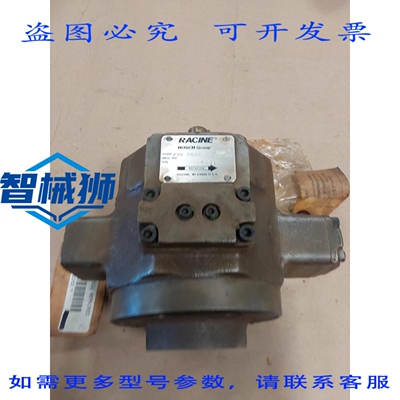 原装供应 RACINE PVB PNS0 06 EL 01 液压泵。