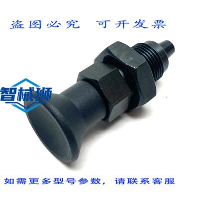 原装供应 KIPP NORELEM 03089-52410 分度柱塞 M20X1 5 B型 D=10