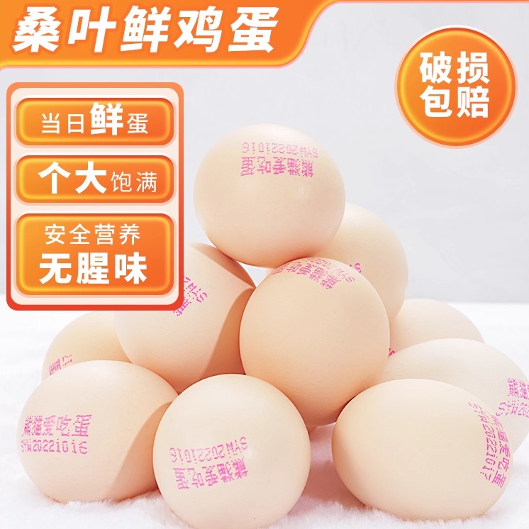 熊猫爱吃蛋桑叶鸡蛋可生食鸡蛋新鲜鸡蛋无抗富硒鸡蛋四川本土鸡蛋