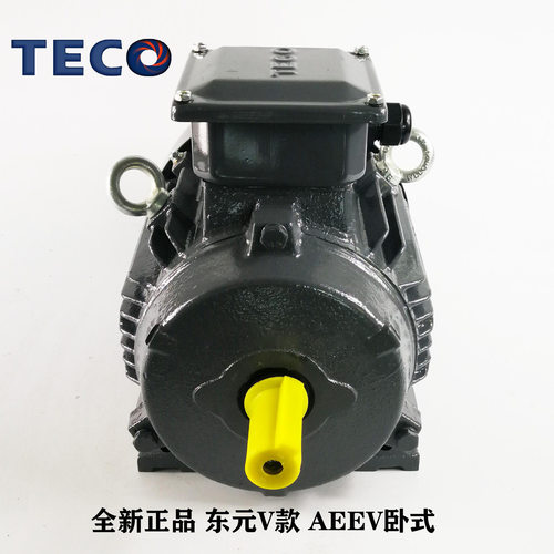 现货直发东元立卧式三相小型调速电机TECO东元电机