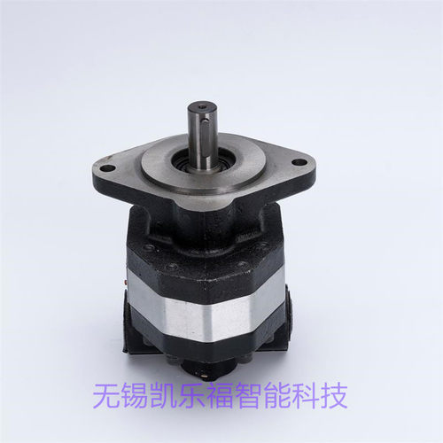 双联齿轮泵2CB-FA32/10 装载机油泵 农机油泵2CB-FC32/32-FL
