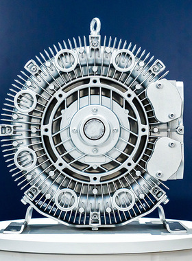 RB-21D高压鼓风机 低噪音吹风机 吸附上料堆肥发酵风机泵