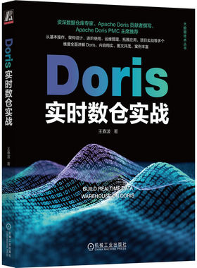 正版图书包邮DORIS实时数仓实战王春波 著9787111726319机械工业出版社