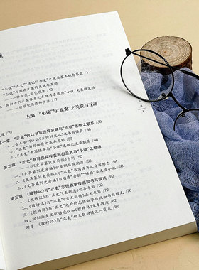 正版图书包邮中国古典小说研究：小说与正史、传记、杂史王庆华9787576042405华东师范大学出版社