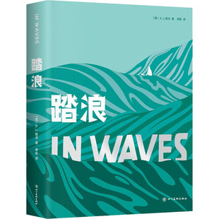正版图书包邮踏浪(美)A.J.敦戈9787541098765四川美术出版社