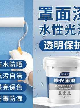 水性内外墙纳米防水罩面漆超疏水涂料耐污墙面保护漆微水泥荷叶漆