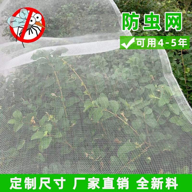 防虫网果树大棚防蚊蝇加厚加密