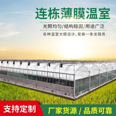 薄膜温室养殖大棚大棚骨架薄膜连动温室大棚连动双拱双膜温室大棚