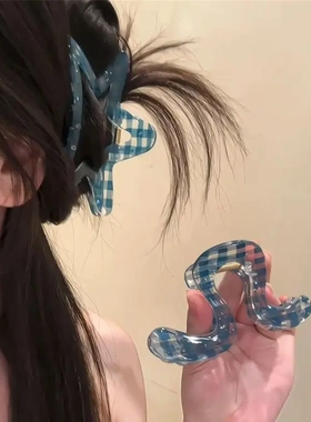 韩系蓝格弧形抓夹高级感盘发
