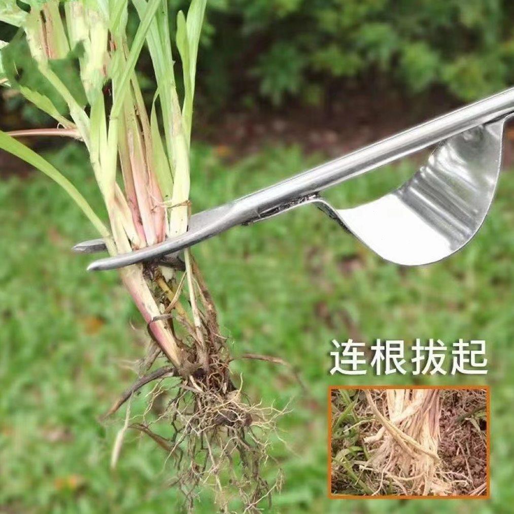 拔草神器园艺除草神器锄草工具小铲子挖野菜连根打孔起苗器