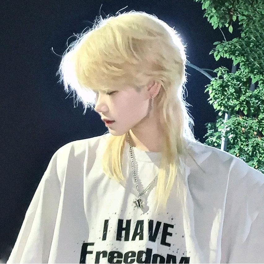 狼尾鲻鱼头假发男短发韩版帅气全头套日系万用假发cos少年感短发