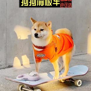 宠物狗滑板车泰迪柯基双翘板滑板车小型玩具法斗专用狗滑板带发光