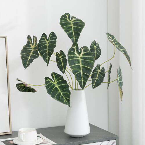 仿真黑孔雀叶海芋叶绿植插花叶材家居装饰彩色芋头叶观音莲叶婚庆