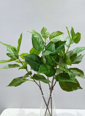 高档仿真绣球叶子灌木插花桑树叶装饰家居胶片软装手感仿真桑树叶
