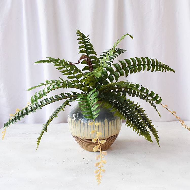 18叶鱼刺波斯草蕨类叶绿植仿真植物墙配材过胶叶手感叶子把束