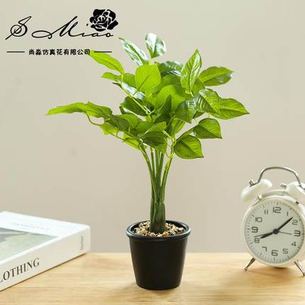 假花仿真绿植小盆景直供创意室内仿真花家居装饰仿真盆栽