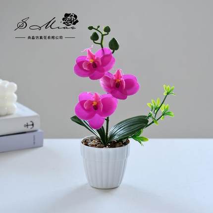 绿植假花打印胶片手感蝴蝶兰小盆景仿真花室内创意装饰仿真盆栽