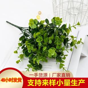 芙朵真大尤加利义乌仿仿真花塑花料金钱叶绿色植物