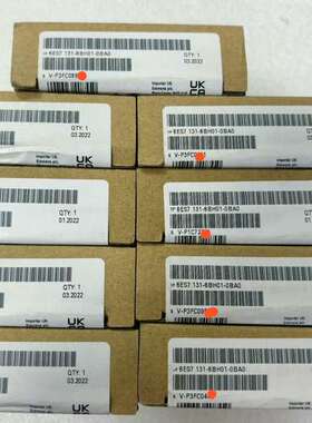 6ES7 131-6BH01-0BA0  P年 原议价