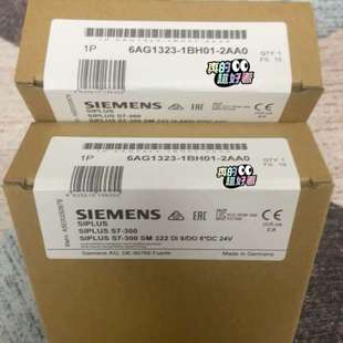 1BH01 6AG1323 2AA0 6AG1 323 议价