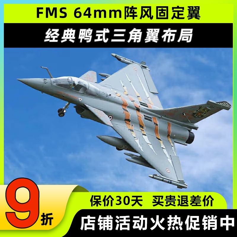 FMS64mm阵风像真航模固定翼模型