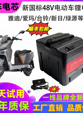 电动车锂电池48v24ah安15A16A25AH新国标电池60v20ah电瓶车锂电瓶