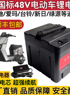48V电动车锂电瓶24安32AH雅迪爱玛台铃星恒天能同款60V20ah锂电池