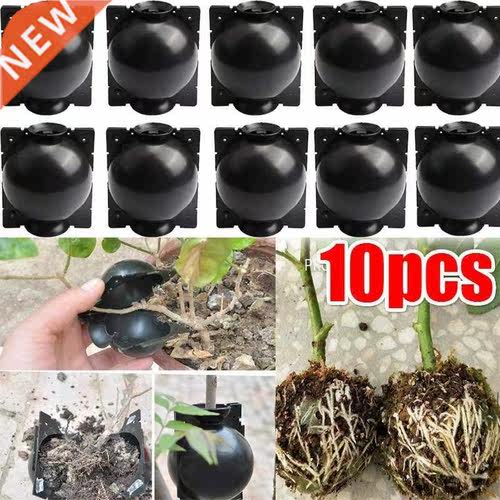 10Pcs Reusable Plant Root Growing Box Cutting Grafting Rooti