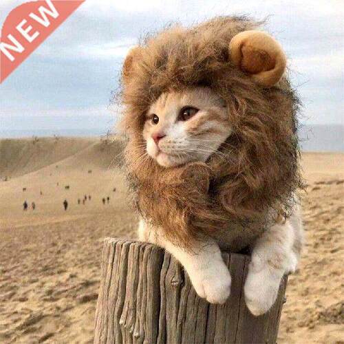 Cute Lion Mane Cat Wig Hat for Dogs and Cat Small Dog Pet