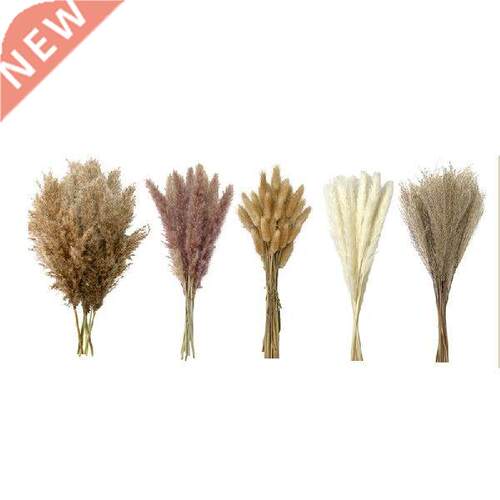 New 110 PCS Pampas Grass Boho Decor Dried Grass Bouquet