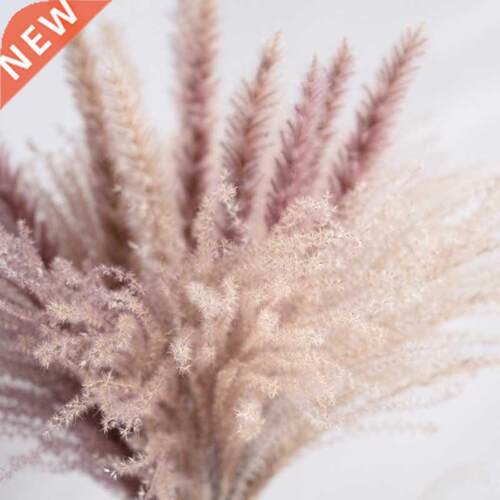 Real Wheat Decoration Natural Pampas Rabbit Tail Grass Dried