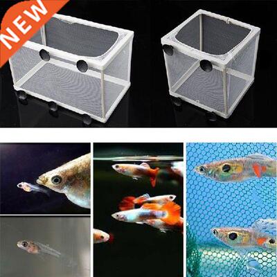 Fish Tank Aquarium Breeding Guppy Breeder Fish Baby Gauze