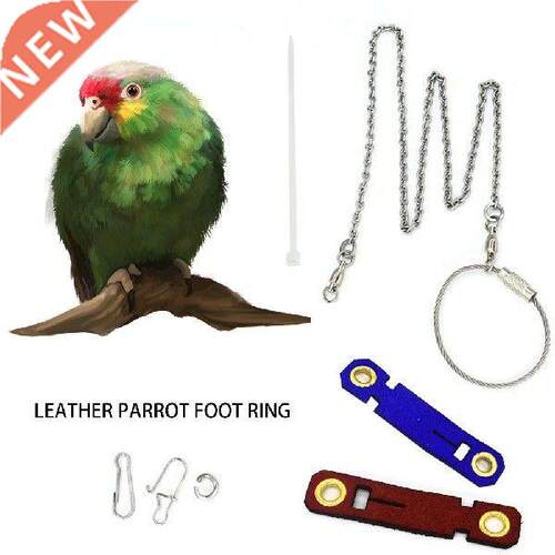Bird Leather Parrot Foot Ring Bird Parrot Foot Chain
