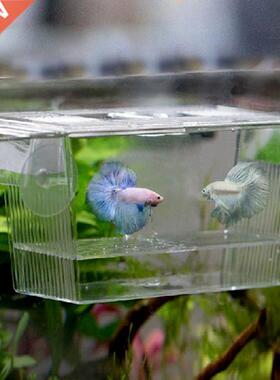 Transparent Acrylic Fish Tank Breeding Isolation Box Aquariu