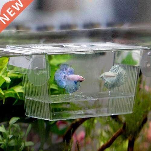 Transparent Acrylic Fish Tank Breeding Isolation Box Aquariu