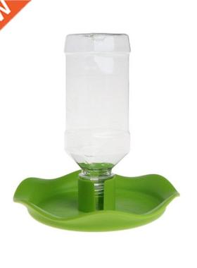 Reptile Water Drinker Dispenser Food Basin Stand Lizard Feed
