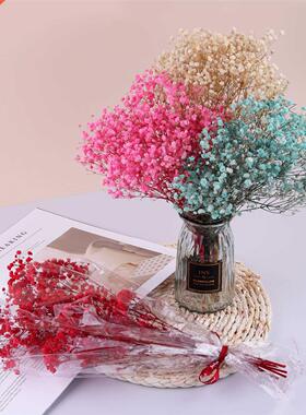 Mini Gypsophila Dried Flowers Natural aysreath Preserve F