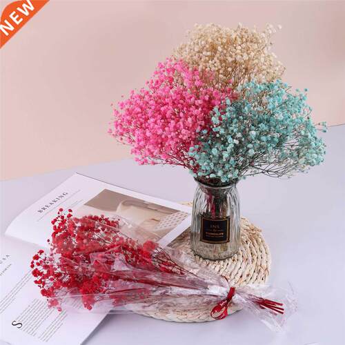 Mini Gypsophila Dried Flowers Natural aysreath Preserve F