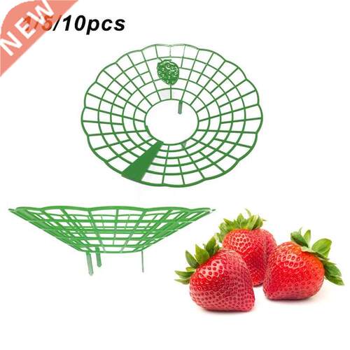 Strawberry Stand Frame Holder Balcony Planting Rack Fruit Su