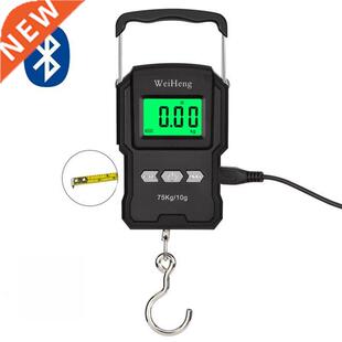WeiHeng A27L 75kg/10g Electronic Hook Scale High Precisions