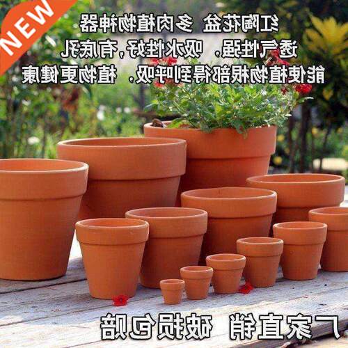 Red clay pot clay short POTS me of baked clay green plant