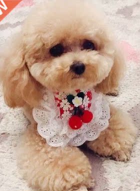 Dog Collar Bib Pet Dog Supplies Lace Decor Pet Collar Bib