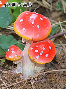 NEW Mini Muroom Miniature Fairy Garden Terrarium Figurine