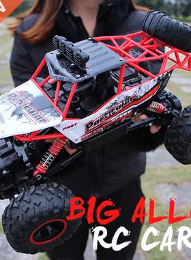 ZWN 1:12 / 1:16 / 1:20 4WD RC Car 2.4G Radio Control Car Bug