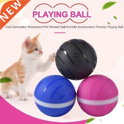 2nd Generation Electric Dog Rolling Ball Anti-bite