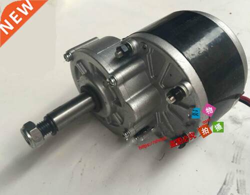 MY1016Z2 extension shaft motor balance car motor 250W24V