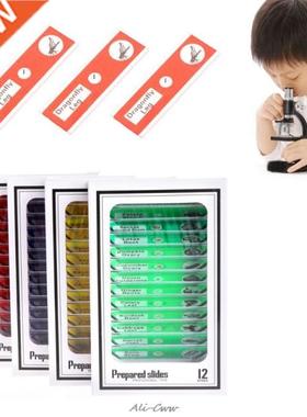 48Pcs/Set Prepared Microscope Slides Specimen Animals Insect